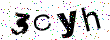 Enter the 4 characters <br>& press submit 